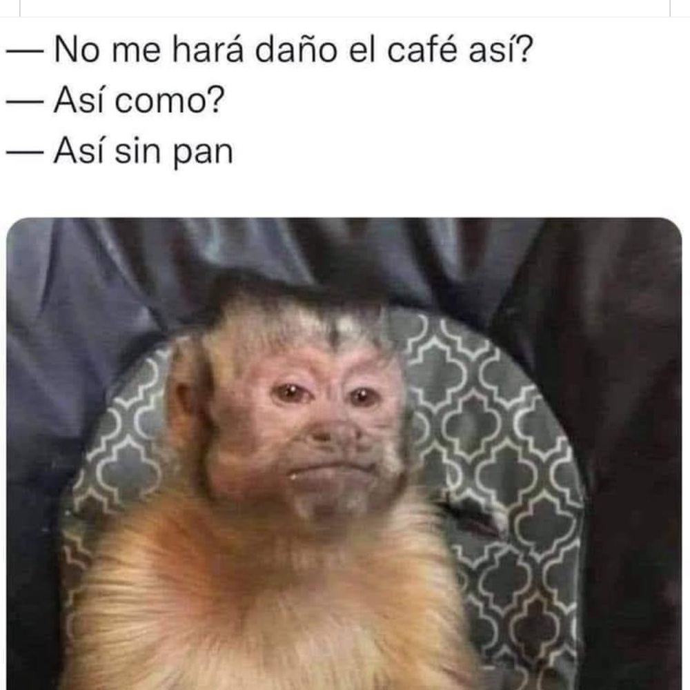 Meet your Posher, Carlos